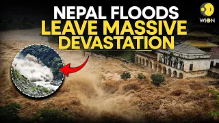Nepal Flood Horror: At Least 788 Dead, Rasuwa Completely In Ruins | WION Originals
