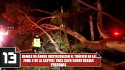 Tree branches block traffic in the capital's Zone 3 after falling on several people