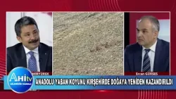 Vali Demiryürek Anadolu Yaban Koyunu Kırşehirde Doğaya Yeniden Kazandırıldı