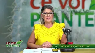 Cristina Ghibu and Horia Ghibu - How do we get rid of blight on tomatoes?