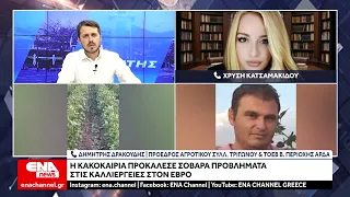 Η κακοκαιρία προκάλεσε σοβαρά προβλήματα στις καλλιέργειες σίτου στον Έβρο