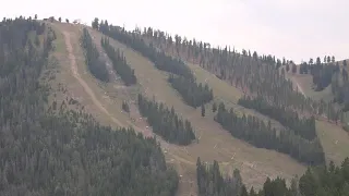 Bald Mountain Stewardship Program aims to improve forest health at Sun Valley Resort