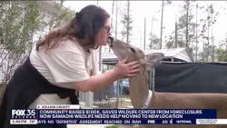 Wildlife rescue in Volusia County faces uncertainty after foreclosure