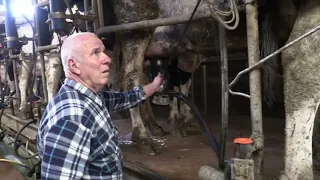 Testa di Lepre, high temperatures also cause a drop in milk production