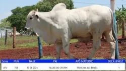 TOURO UFU 758  2026