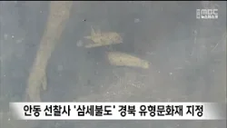 안동 선찰사 '삼세불도' 경북 유형문화재 지정 / 안동MBC