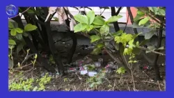 DSTV | RENDBONTÓK A RENDELŐ ELŐTT DSTV | RENDBONTÓK A RENDELŐ ELŐTT