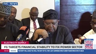 FG Will Ensure Nigerians Only Pay For Electricity They Consume - Minister