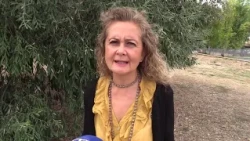 NORI GUBETTI ON THE CEMETERY