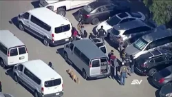 El número de ecuatorianos detenidos en las redadas de ICE ha ido escalando | Televistazo | Ecuavisa