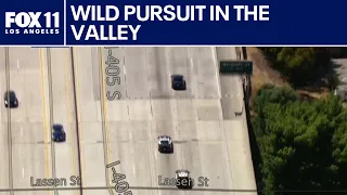 Wild pursuit across the San Fernando Valley