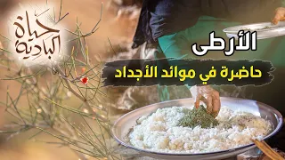 يوم كامل في قلب الصحراء.. طقوس البادية من جمع الأرطى إلى فنجال القهوة | حياة البادية