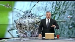 Ordu Altaş TV Ana Haber | 24 Nisan 2024