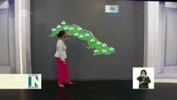 Weather in Cuba: some showers and rain in the west and east