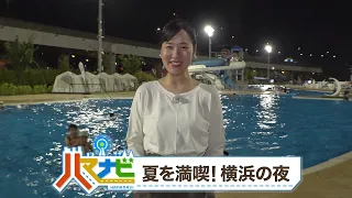 ハマナビ　2026年8月8日放送　夏を満喫！横浜の夜