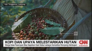 Bisakah Secangkir Kopi Ikut Menjaga Kelestarian Hutan?
