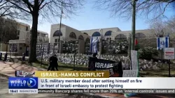 Medea Benjamin talks Israel-Hamas conflict