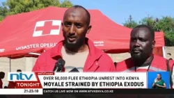 Moyale: Over 50,000 fleeing Ethiopia unrest need urgent humanitarian aid