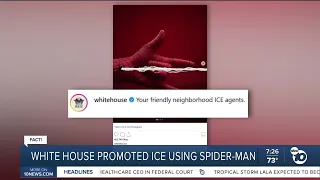 Fact or Fiction: White House promoted ICE using Spider-Man?