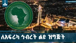 የኢሚግሬሽን አዲሱ የቀልጣፋ ቪዛ አገልግሎት | ETV | EBC | EBCDOTSTREAM