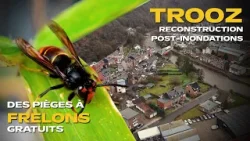 HEBDO DE LA PROVINCE DE LIÈGE : RECONSTRUCTION DE TROOZ, PIÈGE À FRELONS, HISTOIRE DES PROSTITUTÉES HEBDO DE LA PROVINCE DE LIÈGE : RECONSTRUCTION DE TROOZ, PIÈGE À FRELONS, HISTOIRE DES PROSTITUTÉES