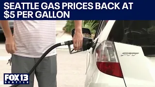 Gas prices spike as US oil reserves hit new low | FOX 13 Seattle