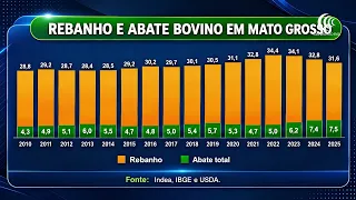 Female Cattle Retention Reduces Beef Slaughter in Mato Grosso in July/26