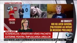 Packages of up to €11,500 for foreigners who want to shoot bears in Romania