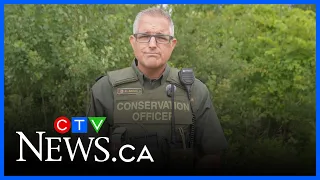 Ontario man's treaty rights claim rejected in moose hunting case