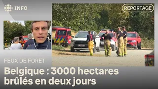 Un incendie historique en Belgique : 3000 hectares brûlés en deux jours | D'abord l'info
