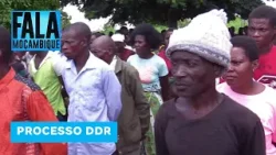 RENAMO desconhece os 130 homens que se apresentaram como ex-guerrilheiros na Zambézia @PortalFM24