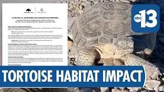 Development Threatens Desert Tortoise Habitat in Clark County