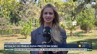 Retention of females drives up fat cattle prices in Goiás