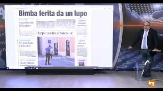 Rassegna stampa Trg di sabato 11 luglio 2026