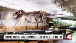 T-Rex ‘SUE’ coming to St. Louis Science Center?