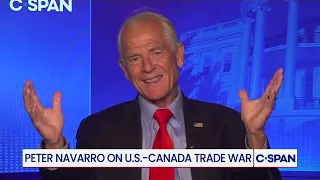 Peter Navarro to Canada: "You're the problem."