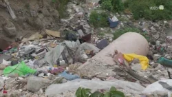 Accumulation of waste reported at the Juan Soriano retention basin