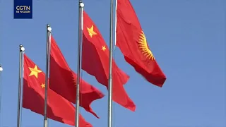 Си Цзиньпин примет участие в саммите ШОС и посетит с госвизитами Кыргызстан с Египтом