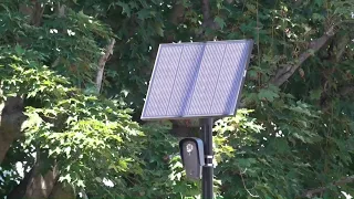 Concerns about Flock license plate reading cameras surge across Connecticut