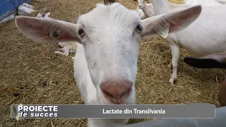 SUCCESSFUL PROJECTS Baier, goat farm 06/28/2026 2459