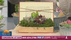 New Day Cleveland: Boomdyada New Day Cleveland: Boomdyada