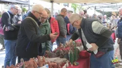 Novedrate - Il 28 marzo la Giornata del Presepio Artigianale