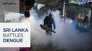 Incoming rains raise dengue fears in Sri Lanka