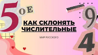 Declension of Numerals | "World of Russian"