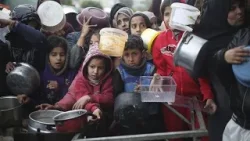 Gaza : un quart de la population proche de la famine, alerte l'ONU