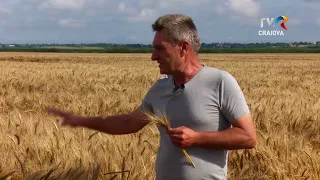 My Village - 07/26/2026