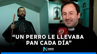 🐶 ST. ROCH FESTIVAL: Pet blessing, procession, and patronal mass in Paraná ⛪🐾
