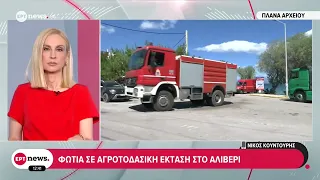 Αλιβέρι Ευβοίας: Φωτιά σε αγροτοδασική έκταση – Μήνυμα από το 112