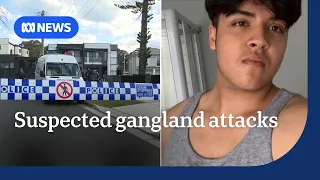 Two fatal shootings in Sydney investigated as possible mistaken identities | ABC NEWS