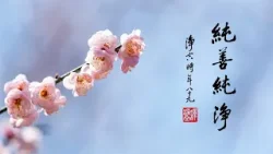 淨空老法師｜大經專修｜什麼是純淨無垢-第2150集